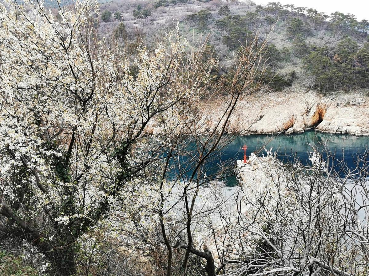 Vila Verbana Apartments Vrbnik Kültér fotó