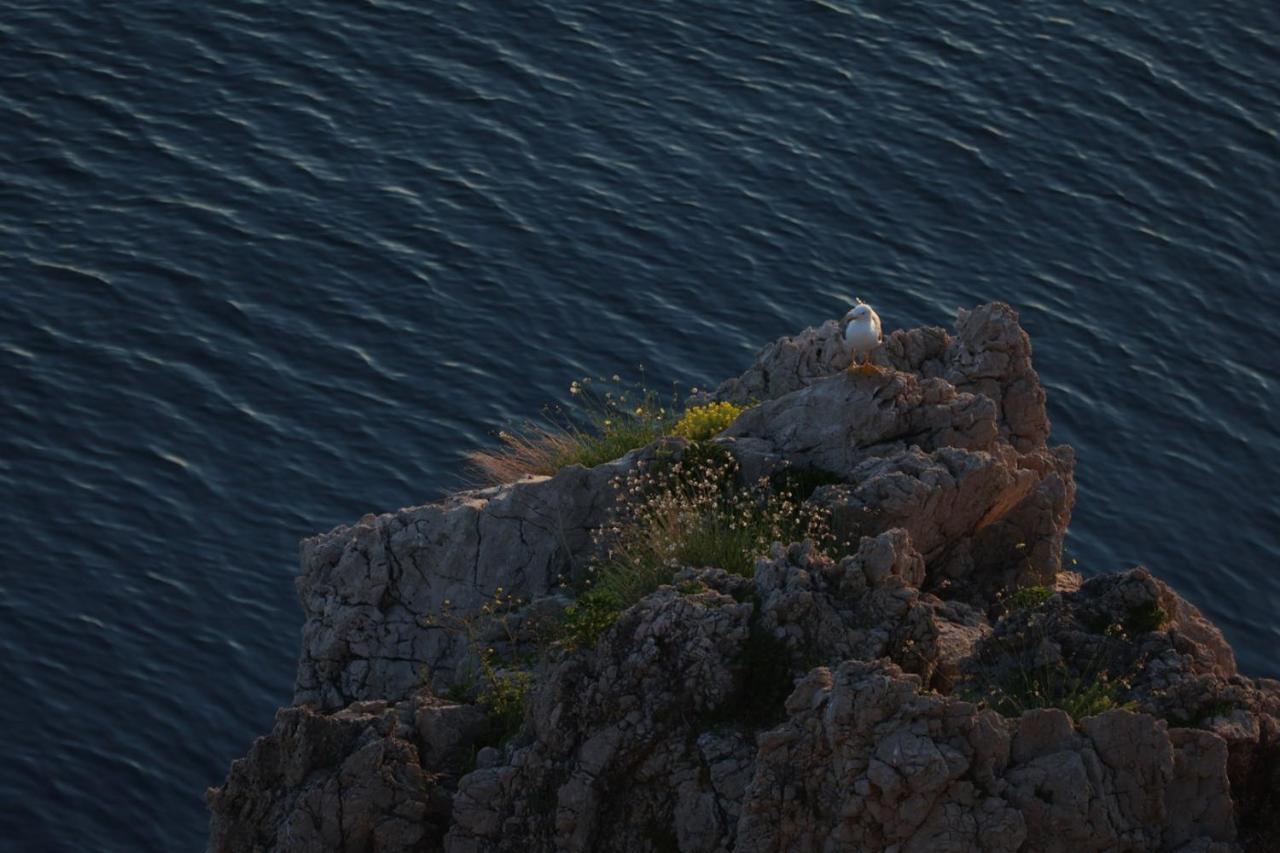 Vila Verbana Apartments Vrbnik Kültér fotó